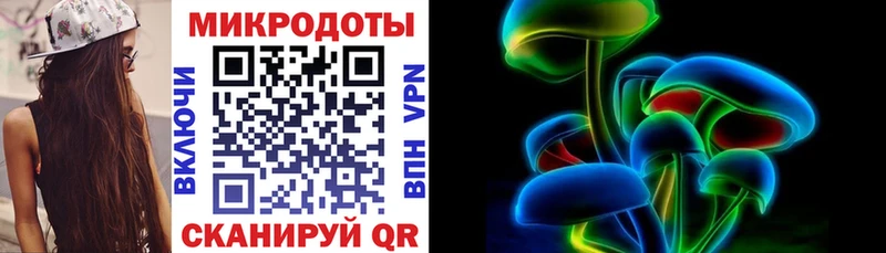 как найти закладки Сортавала Псилоцибиновые грибы мухоморы