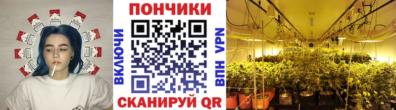 МАРИХУАНА SATIVA & INDICA  Сортавала 